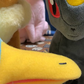 山陰の人が知り合いみたいな顔をするの画像