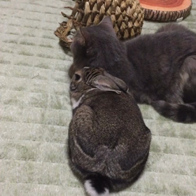 視線の先には…♡の画像