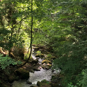 気まぐれマヤ暦　6/26 金　Ｋ８９の画像