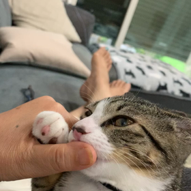 チュパチュパが止まらないの画像