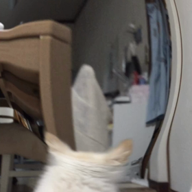 ウルテの動画貼ってみるよの画像