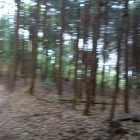 初めてのトレラン『太閤道』②の画像