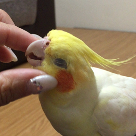 最後にちょっとだけ    伸びます‼︎の画像