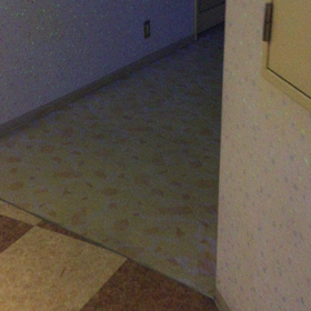 ハロウィンの・・飾りにの画像