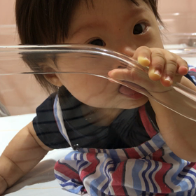 前の続き……の画像