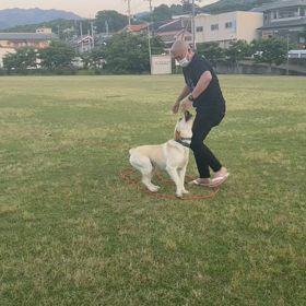 ロングリードの悲劇の画像