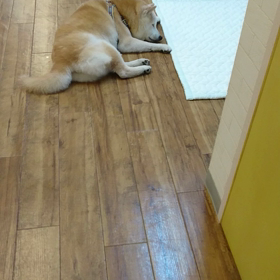 小太郎くんの画像