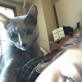 会いたくて震えたからの画像