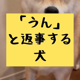 うんうんかわいい♡の画像