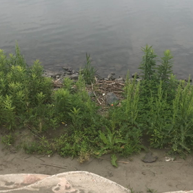 メイクってラッピング！の画像