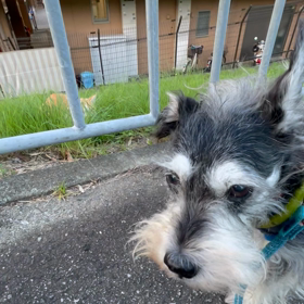 会話成立せずの画像