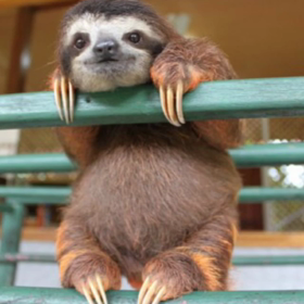 お客様のお声にご協力いただきながら。。。ごめんなさいの画像