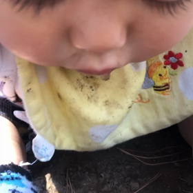 不思議なチカラに驚愕！！の画像