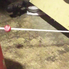 ？クエスチョン？です☆の画像