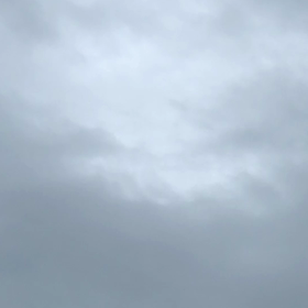 自浄作用の画像