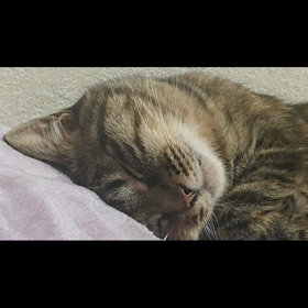 張り詰めていた糸の画像