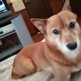 3人でゴロゴロ～の画像