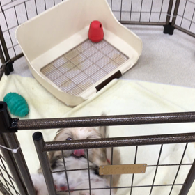 店内サークルの画像