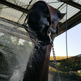 せんぱーい！お先っす！の画像