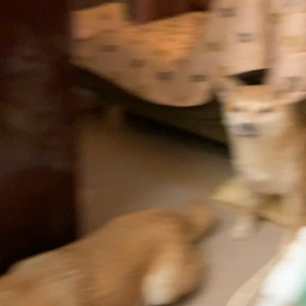 喋ってる？の画像