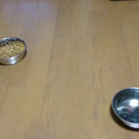 なんでだろう？の画像