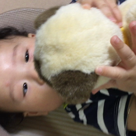 ぬいぐるみでもの画像