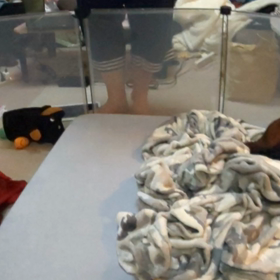 10/16アルカの検査結果の画像