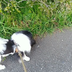 いつかの、息子の画像