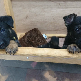 久しぶり～♪(*^ー^)ノ♪の画像