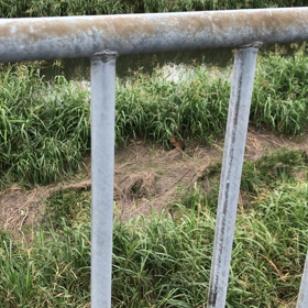 大、中、小！の画像