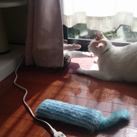 ◆ケンカするほど…の画像