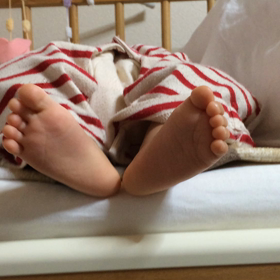 お正月も終わりですな。の画像