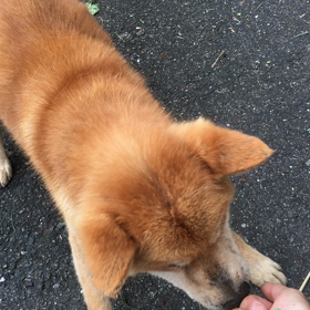 憲俊です。〜直った〜の画像