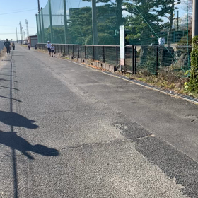 ごめんね子供たちの画像