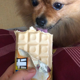 美味しいの画像