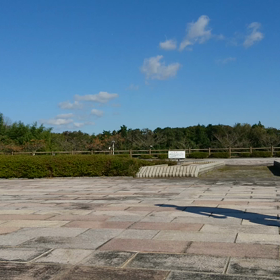 マックサークル練習動画もうすぐ4ヵ月の画像