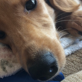 ご機嫌ナナメの画像