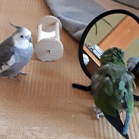 ちょっとずつ近づく②♪の画像