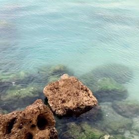 めぐみある日々の画像