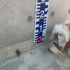 未知との遭遇••2021夏編(^◇^;)の画像