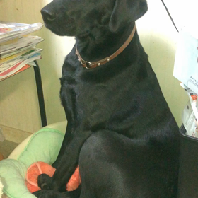 3年目のベッドの画像