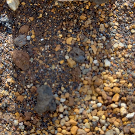 こころの洗濯の画像