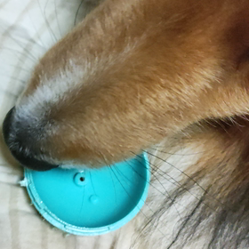 何故、そっち？？の画像