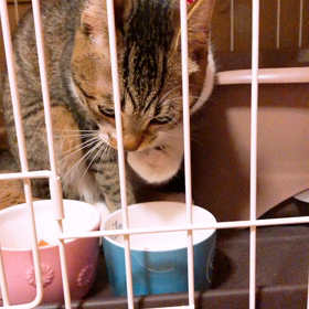 なんだか色々との画像