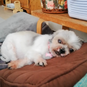 あ〜怖かった・・・(´д`)の画像