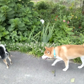 秋雨前線の画像