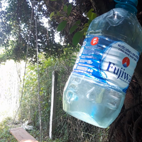 Happy May to allの画像