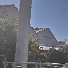 山口誓子の画像