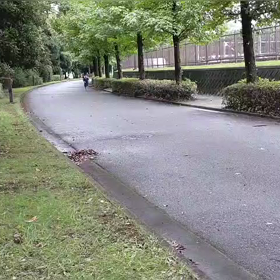 9月3日 1000m ゴール④の画像