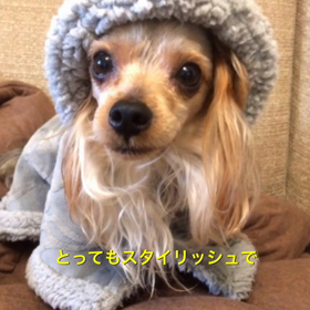 ラッキー君のお誕生日の画像